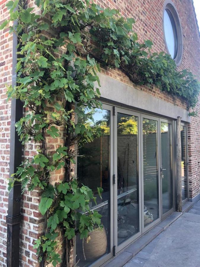 Landelijke Villa Met Zwembad En Gezellige Openhaard Zemst Exterior foto